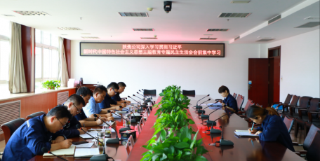 陜焦公司黨委理論學(xué)習(xí)中心組開展主題教育專題民主生活會會前集中學(xué)習(xí)