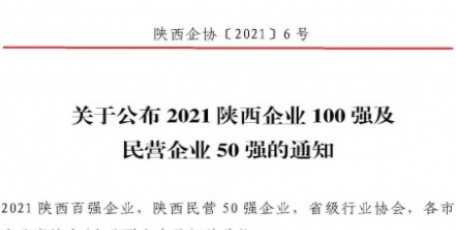 2021陜西100強企業(yè)、陜西民營50強企業(yè)及2012-2021連續(xù)十年入圍陜西100強企業(yè)名單