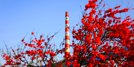 陜焦公司黨委書記、董事長姚繼峰：全力打造基業(yè)長青的陜焦基因